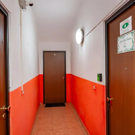 Daire Grotta Fusion Sanara *